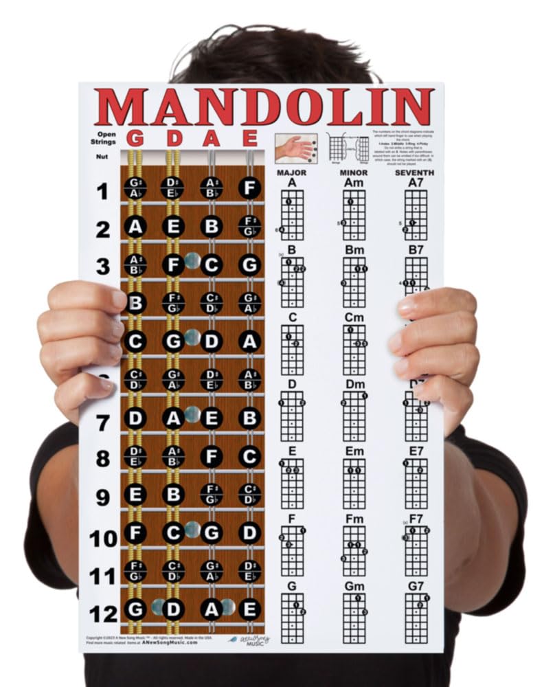 A New Song Music Laminated Mandolin Fretboard Notes & Easy Beginner Chord Chart 11"x17" Instructional Poster by A New Song Music - Image 1